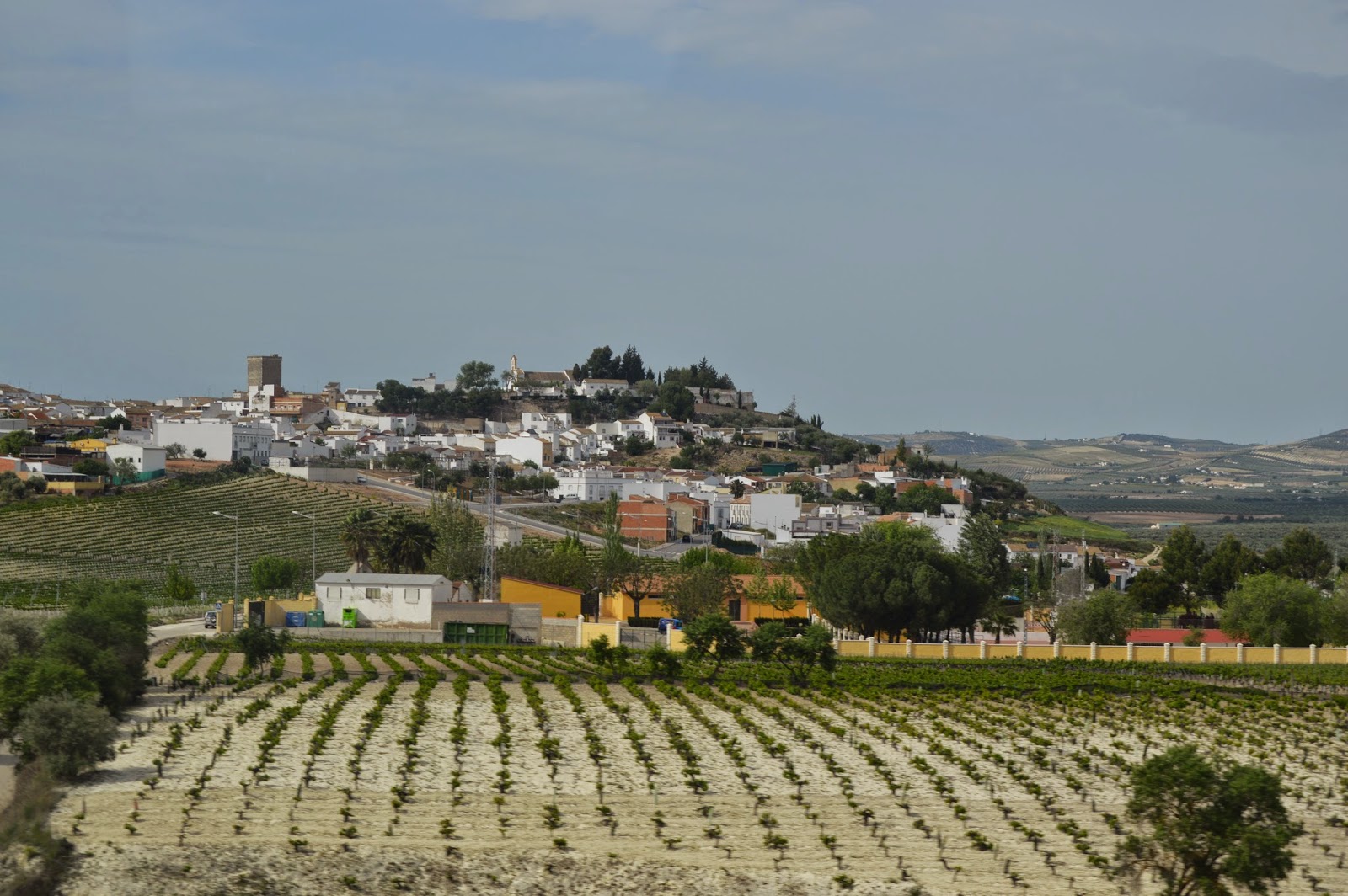 campiña y valle guadajoz.jpg