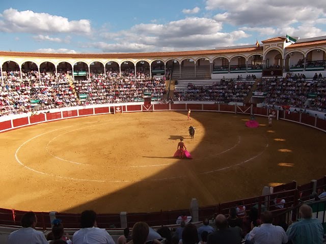 toros3.jpg