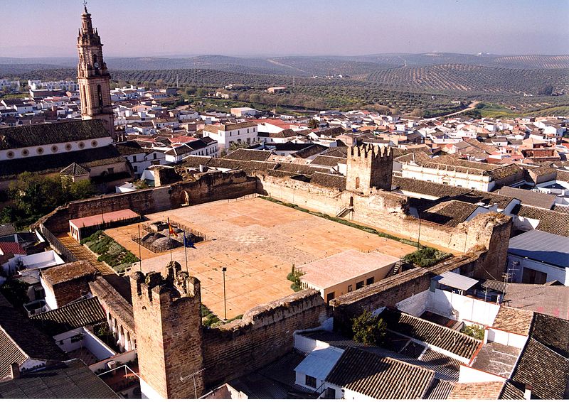 castillo alcazaba1.jpg