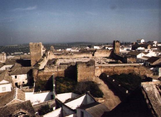 castillo alcazaba.jpg