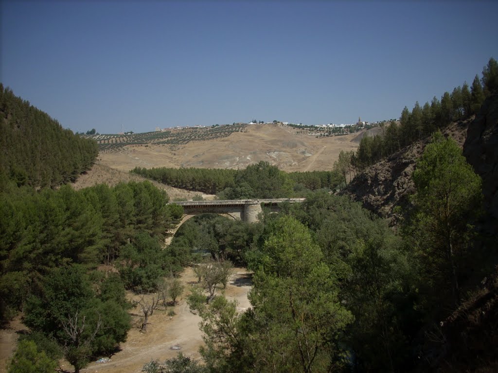 puente1.jpg