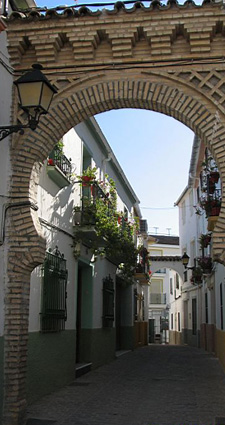 barriocerro.jpg