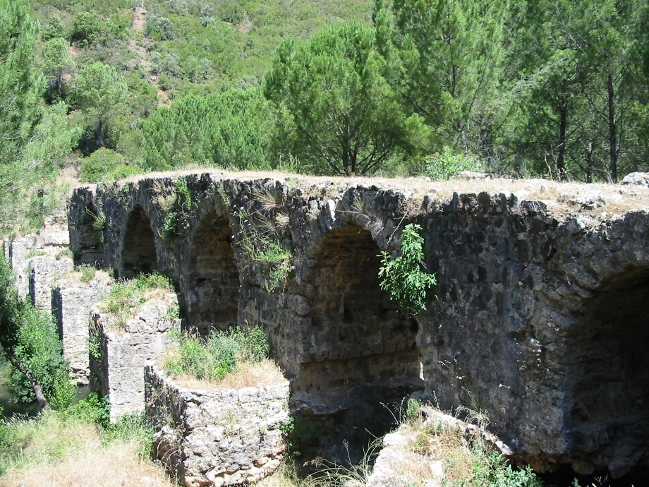 puente tejera.png