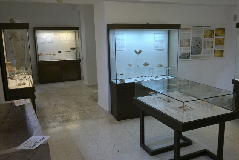 museo-historico-arqueologico-zuheros.jpg