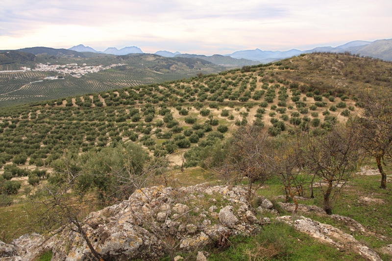 cerro-cabezas.jpg