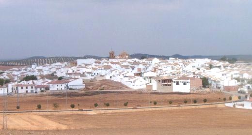 panoramica-palenciana.jpg