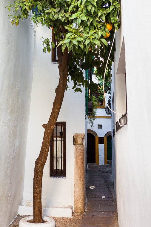 Calle-del-Pañuelo-Visita-a-Córdoba-ciudad-de-Andalucía-España-by-machbel-1.jpg