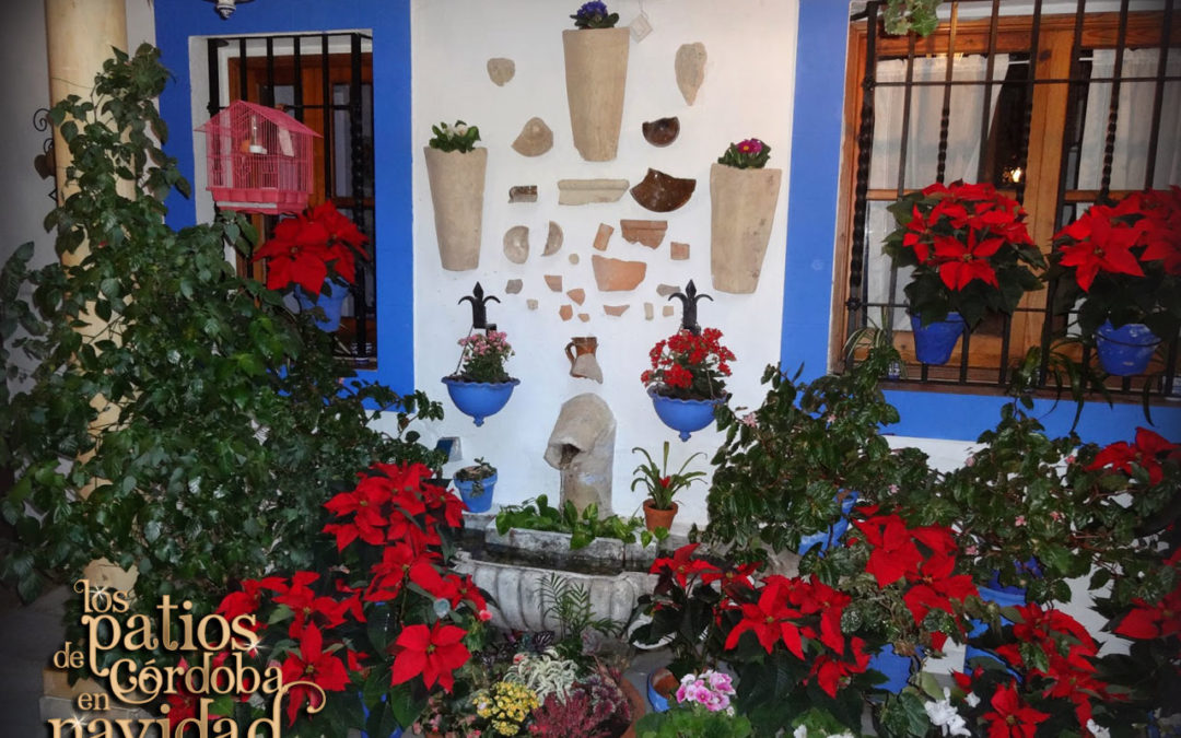 patios-de-cordoba-en-navidad-2017-1080x675.jpg