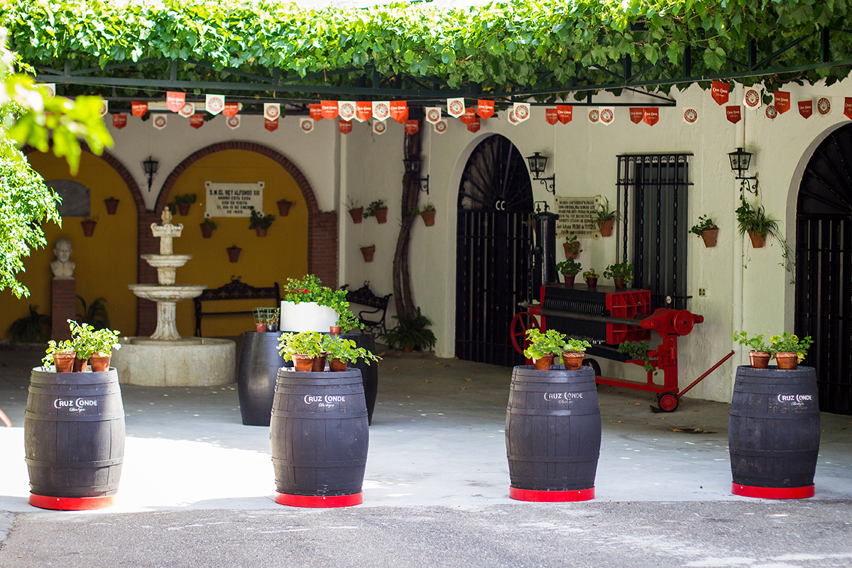 Patios-de-Bodega-2.jpg