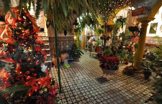 navidad_en_los_patios_2016.jpg